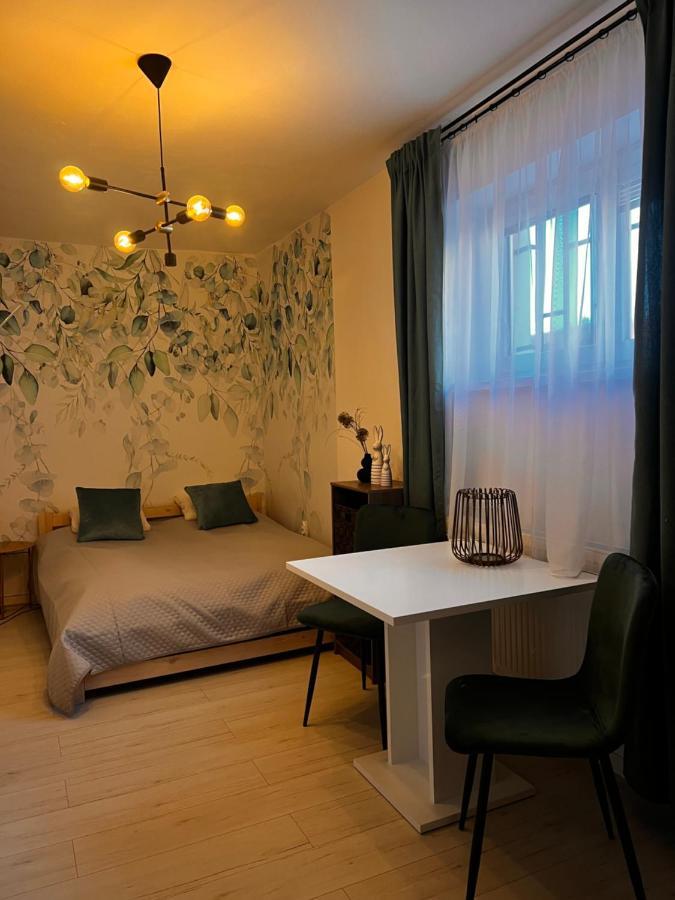 Apartmany V Centre - Vlastna Izba So Spolocnou Kuchynou A Kupelnou Moze Byt Zdielana 2 Inymi Izbami Мартін Екстер'єр фото