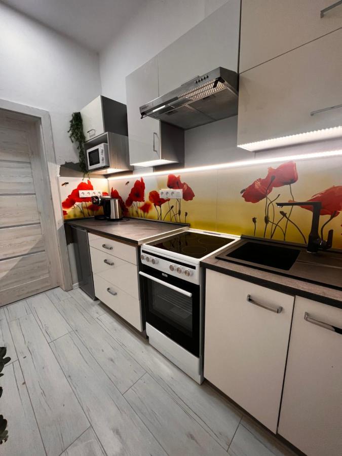 Apartmany V Centre - Vlastna Izba So Spolocnou Kuchynou A Kupelnou Moze Byt Zdielana 2 Inymi Izbami Мартін Екстер'єр фото
